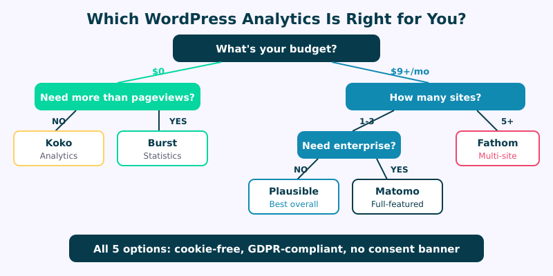 Decision guide for choosing WordPress analytics based on budget and needs